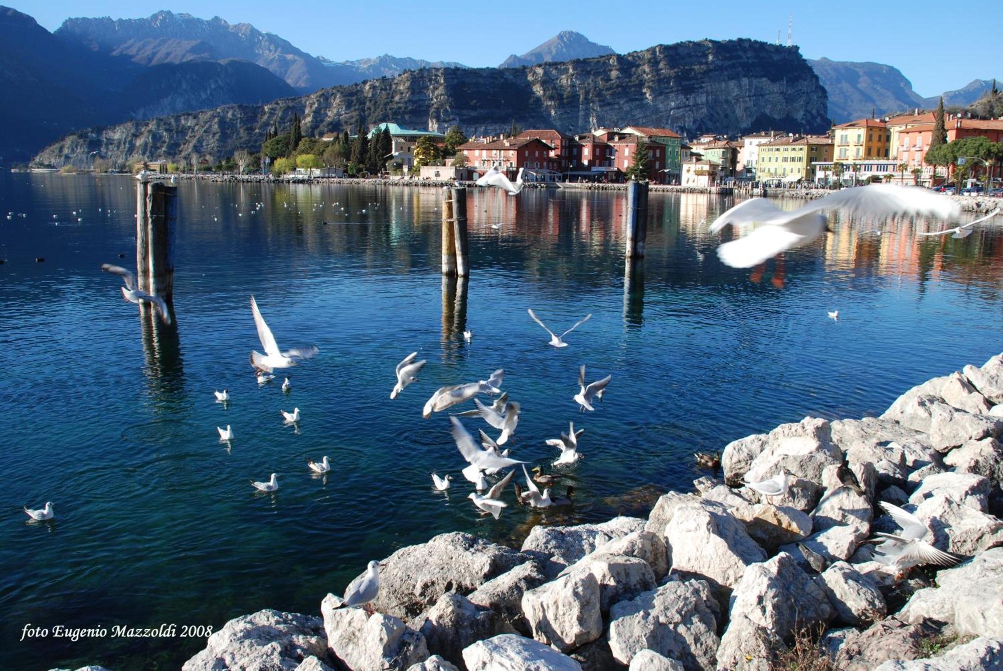 Casa Marco Torbole Sul Garda Exterior foto